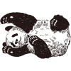Rysunek pandy 01 - obrazek 2