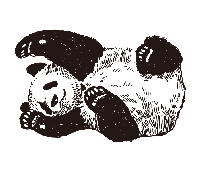 Um conjunto de desenho panda 01, ai illustrator file, US$5.00 each