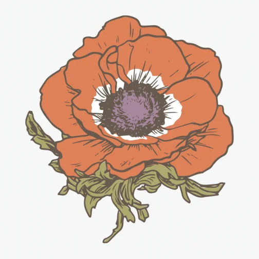 Anemoon / Bloem Tekening