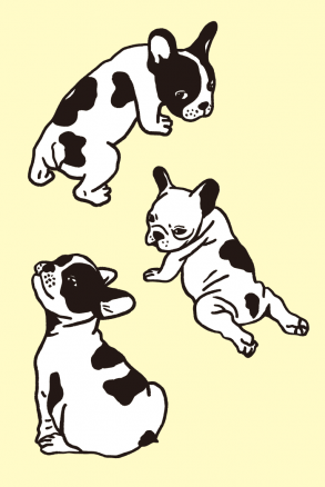 Un set di disegno del Bulldog francese 01