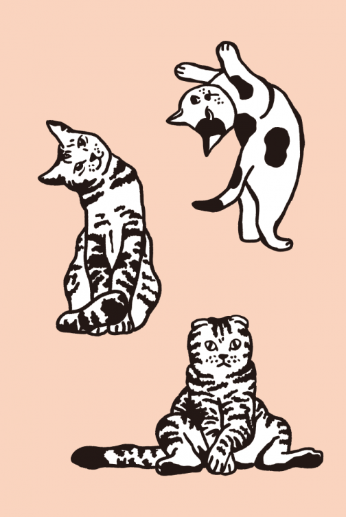Um conjunto de desenhos de gatos 01