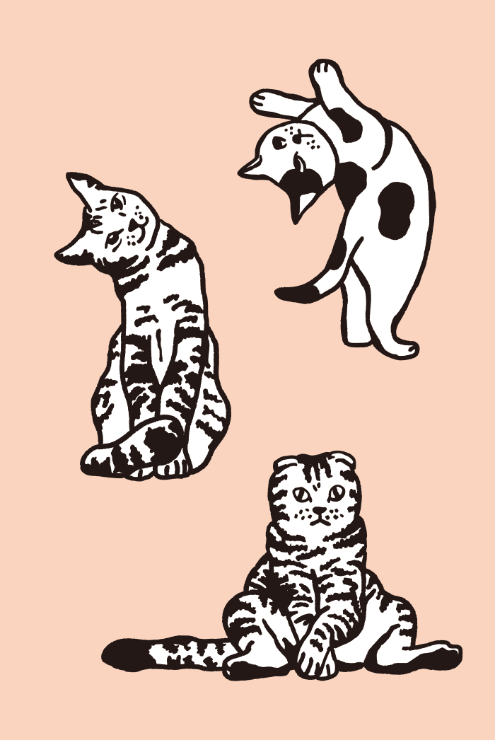Um conjunto de desenhos de gatos 01, ai illustrator file, US$5.00 each