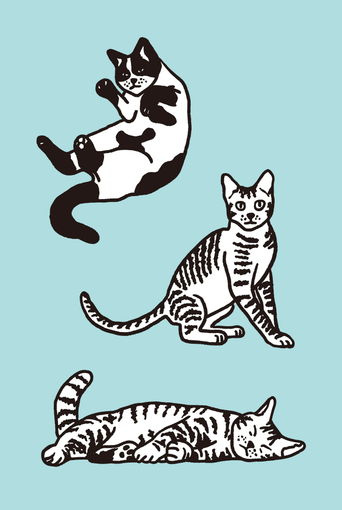 Um conjunto de desenhos de gatos 02, ai illustrator file, US$5.00 each