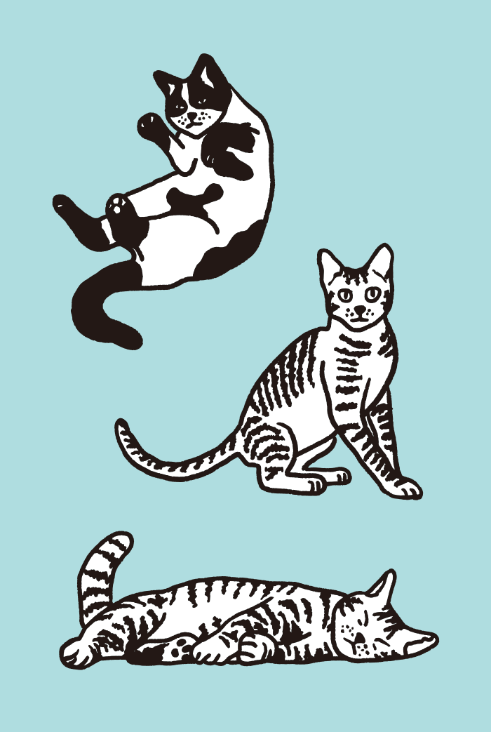 猫のイラストセット 02 Ai Illustrator File Us 5 00 Each Ai Png File