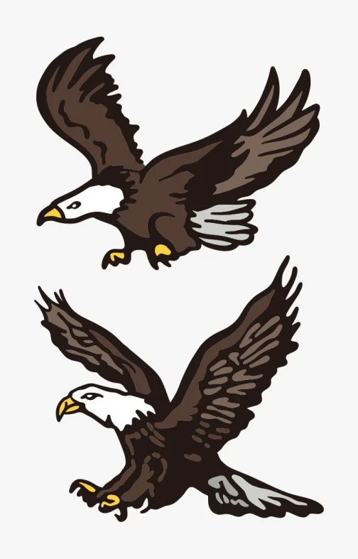 A set of eagle drawing