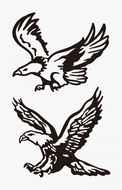 Um conjunto de desenho de águia