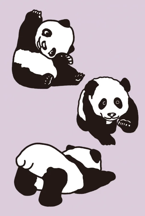 Un jeu de dessins de pandas 01