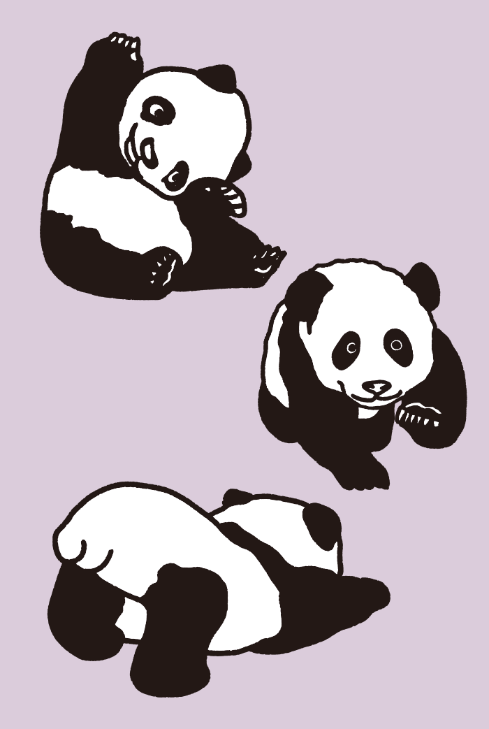 Um conjunto de desenho panda 01, ai illustrator file, US$5.00 each