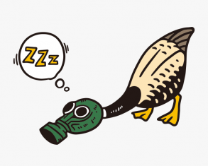 Auch Enten brauchen Masken - Zeichnung