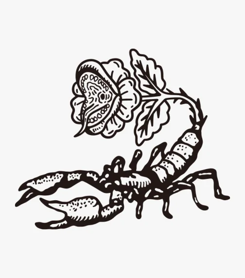 Scorpion and Cannibal Flower - Drawing