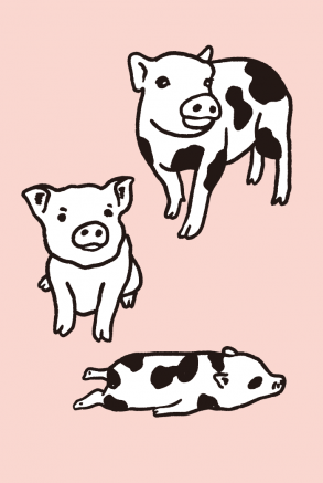 Um conjunto de desenhos de porcos