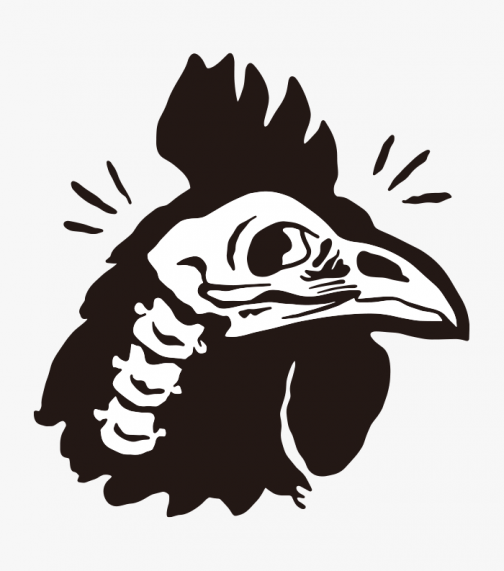Chicken head bone illustration