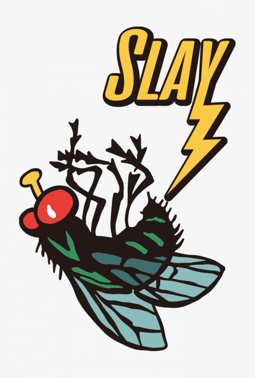 Slay the fly - illustration