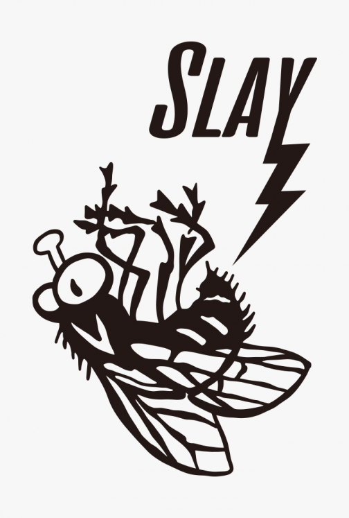 Slay the fly - illustration