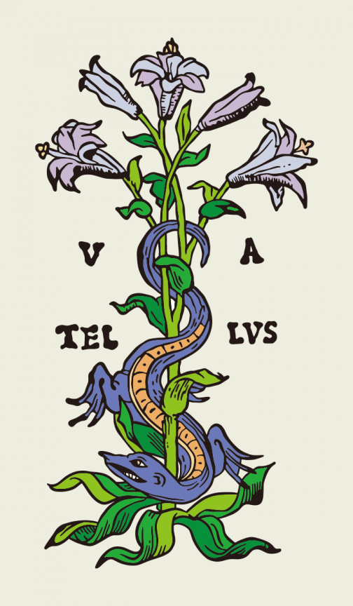 Lizard and Flowers / Renaissance Typography
