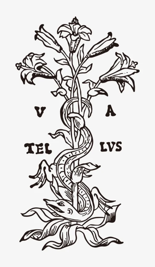 Lagarto e Flores / Tipografia Renascentista