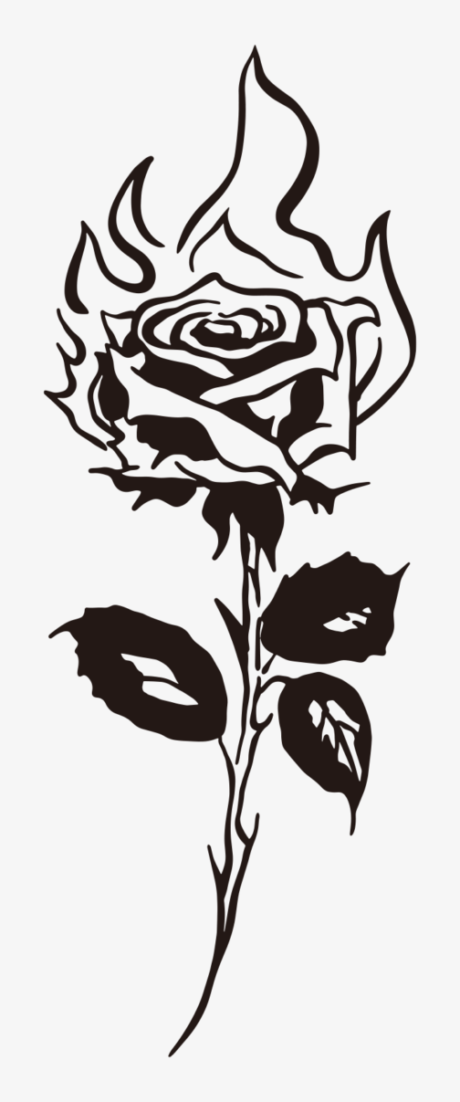 Roses burning - drawing