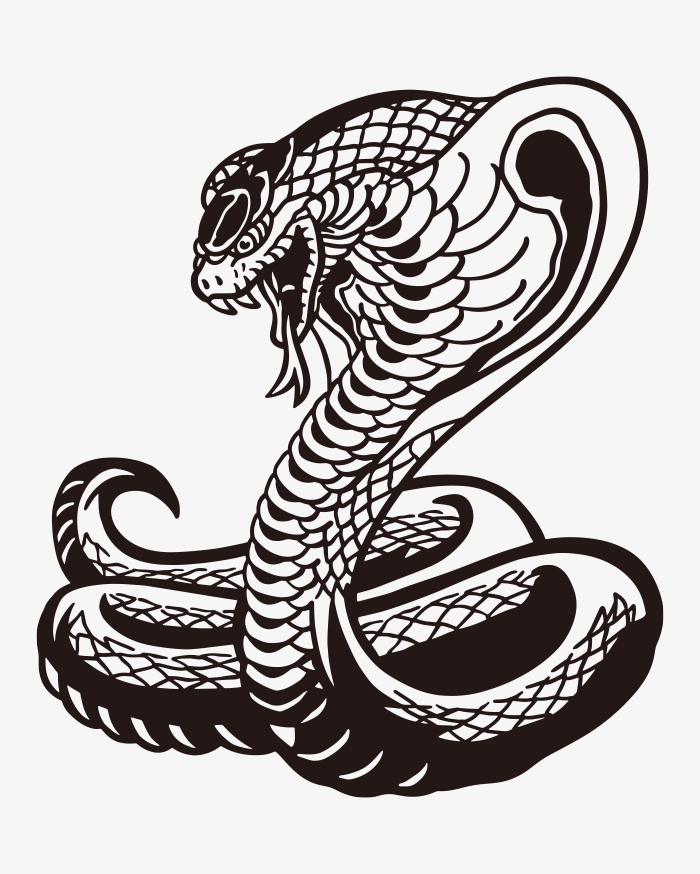 Ilustração De Cobra Em Um Estilo Bonito Dos Desenhos Animados PNG , Cobra  Clipart, Ilustração De Cobra, Desenho De Cobra Imagem PNG e Vetor Para  Download Gratuito