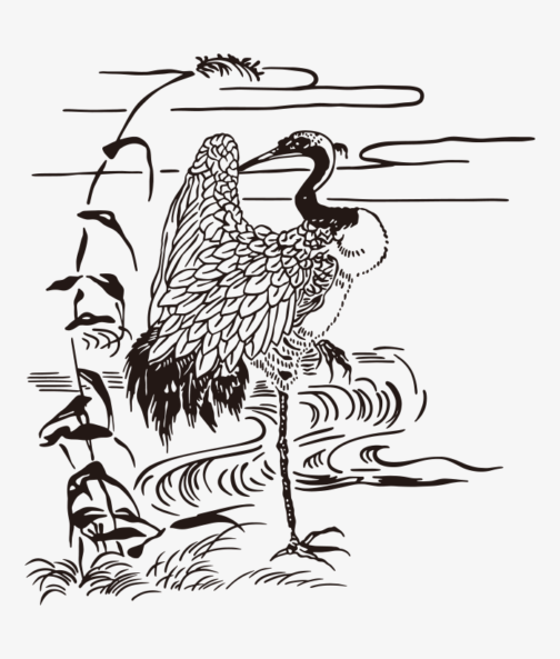 Crane / Japanese ukiyo-e drawing