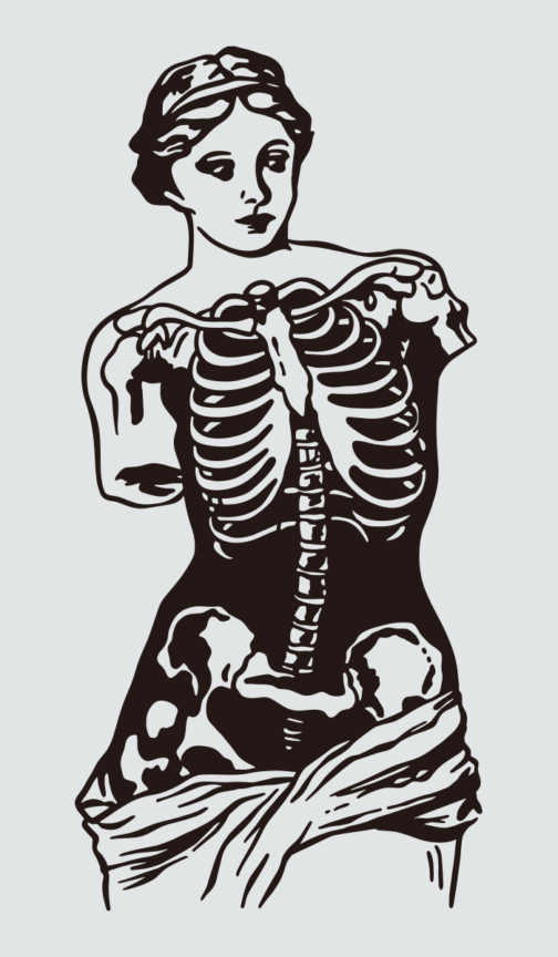 X-Ray girls 02 / illustration