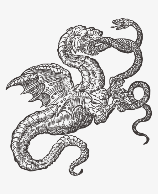 Retro cultish drawing – The Snake and the Dragon