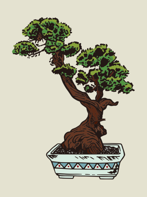 Bonsai tree / illustration