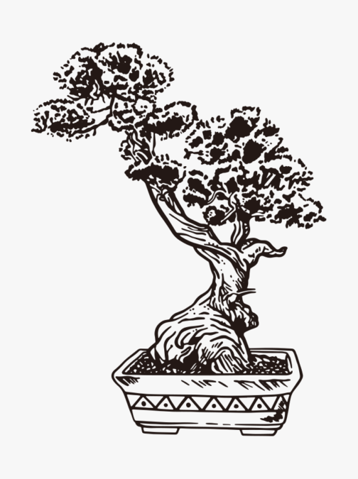 Бонсай дерево / иллюстрация