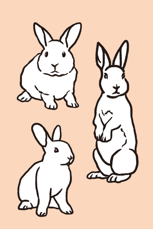 A set of rabbit drawing 01