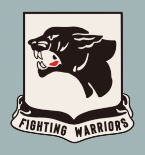 Panther-Emblem / Retro-Militär-Patch