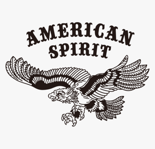 American spirit eagle logo / Texture vectors & illustrations