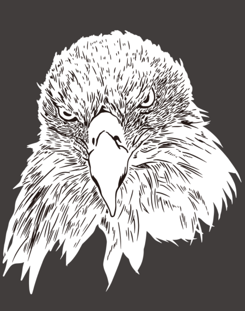 Drawing of Eagle's brave face