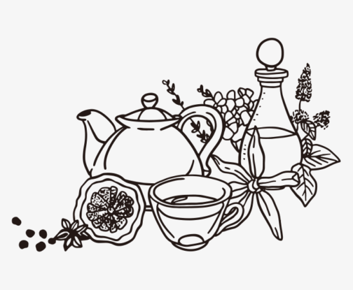 Hand-drawn illustration of herbal tea set