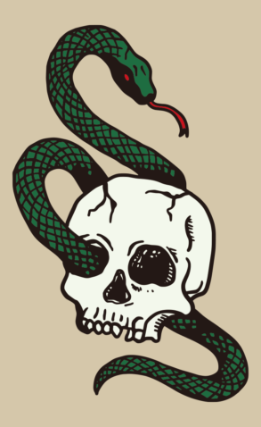 Schedel en slang / illustratie, vector
