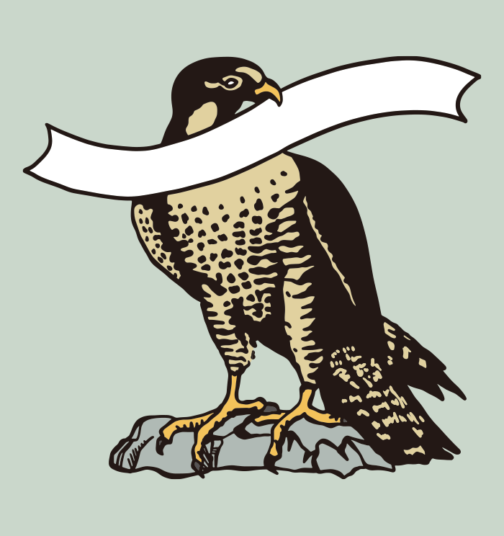 Falcon / illustration, vector