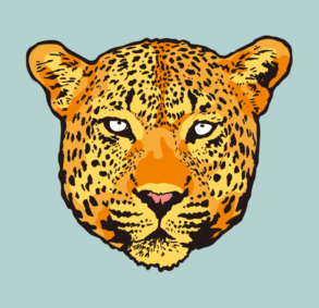Pintura facial de onça/leopardo/pantera