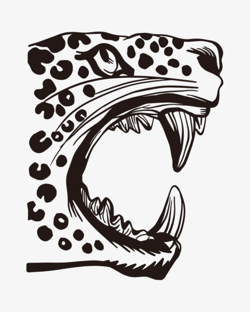 Tekening van een dreigend gezicht van een jaguar/luipaard/panter
