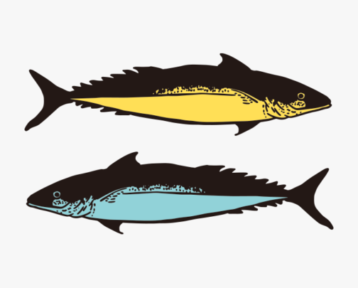 رسم توضيحي للأسماك