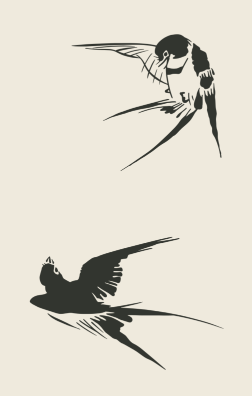 Illustration of two swallows