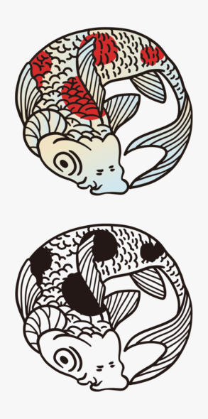 Illustration des Karpfenkamms