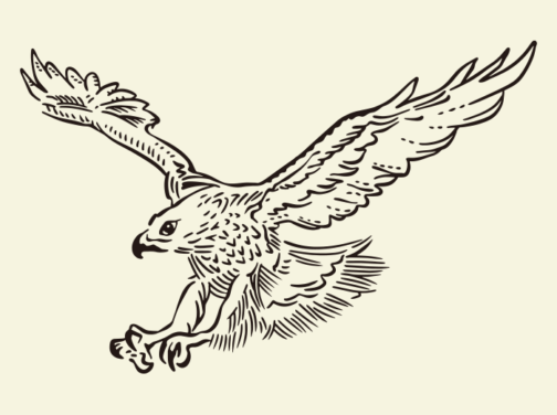 Ilustração de um falcão