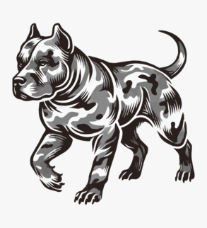Camuflagem Pit Bull / ilustração