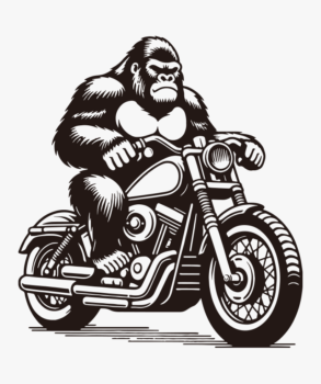 Gorilla and motorcycle / illustration