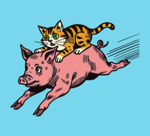 Cat on a pig's back / illustration 02