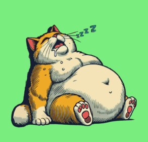 Gros chat faisant la sieste / illustration