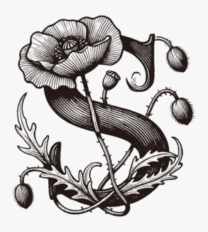 Fiore di papavero e l'alfabeto S / illustrazione