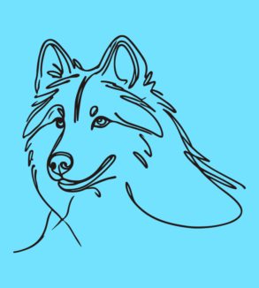 Rysunek liniowy psa husky 01 / całe ciało / projekt wektorowy