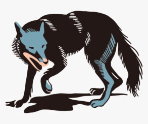 Lobo/desenho vectorial