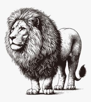 Pen drawing illustration of a lion